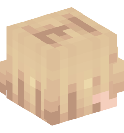 Minecraft head — People