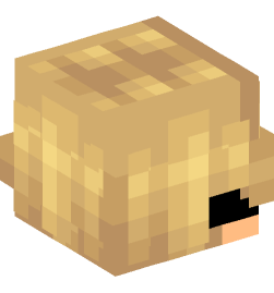 Minecraft head — People