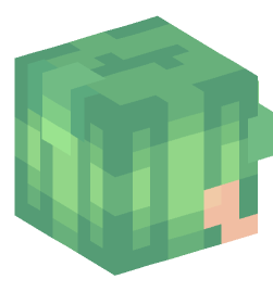 Minecraft head — People