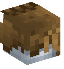 Minecraft head — Animals