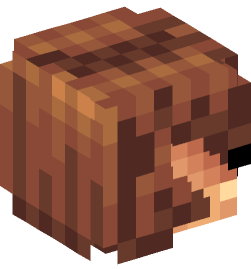 Minecraft head — People