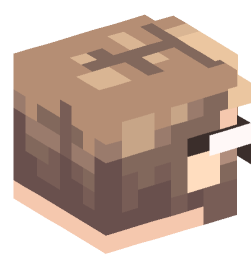 Minecraft head — People