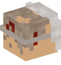 Minecraft head — People