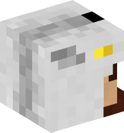 Minecraft head — People