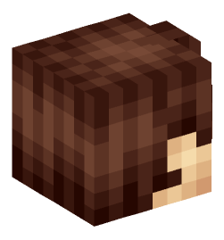 Minecraft head — People