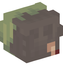 Minecraft head — People