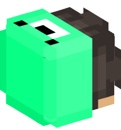 Minecraft head — People