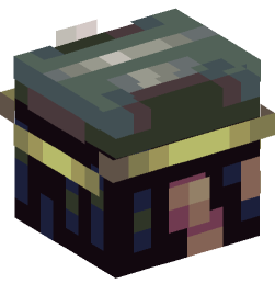 Minecraft head — People