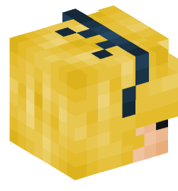 Minecraft head — People