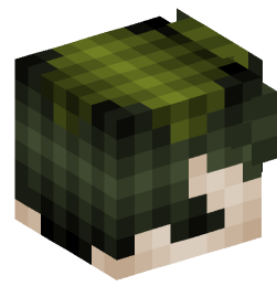 Minecraft head — Creatures