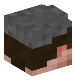 Minecraft head — People