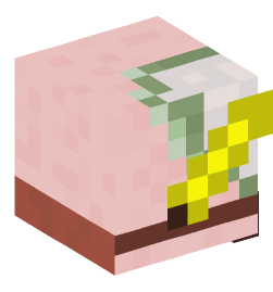 Minecraft head — Decor