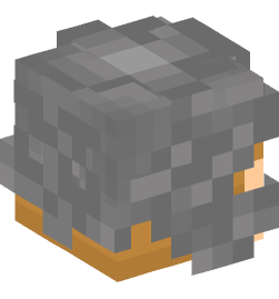 Minecraft head — People