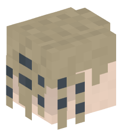 Minecraft head — People