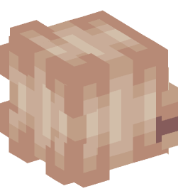 Minecraft head — People