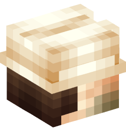 Minecraft head — People