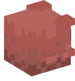 Minecraft head — Creatures