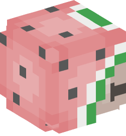 Minecraft head — People