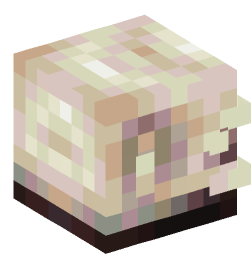 Minecraft head — Creatures