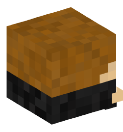 Minecraft head — Decor