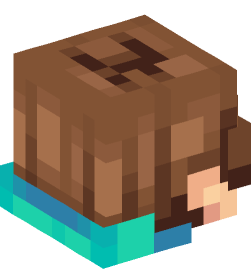 Minecraft head — People