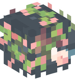 Minecraft head — Creatures