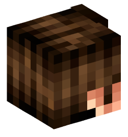 Minecraft head — People