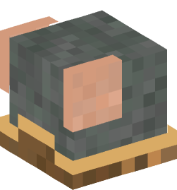 Minecraft head — Animals