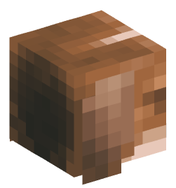 Minecraft head — Animals