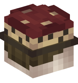 Minecraft head — People