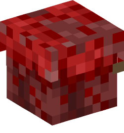 Minecraft head — Blocks