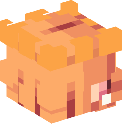 Minecraft head — People