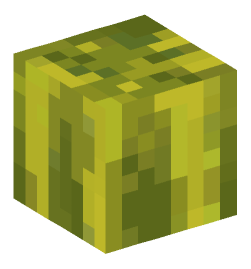 Minecraft head — Plants