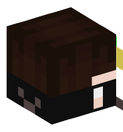 Minecraft head — Decor