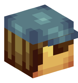 Minecraft head — People