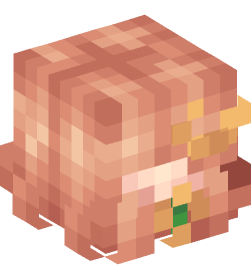 Minecraft head — Creatures