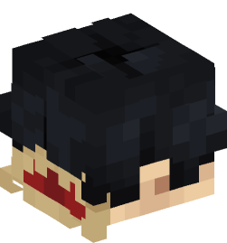 Minecraft head — People