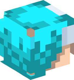 Minecraft head — People