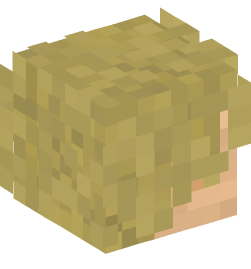 Minecraft head — People