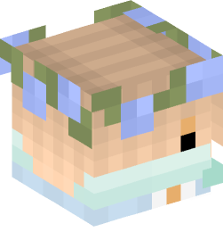 Minecraft head — Decor