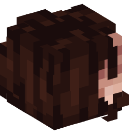 Minecraft head — People