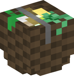 Minecraft head — Decor