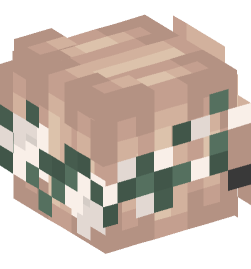 Minecraft head — People