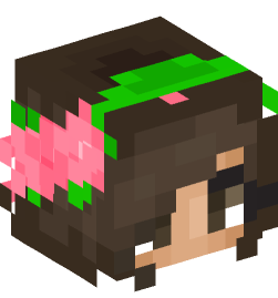 Minecraft head — People