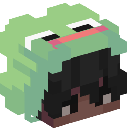 Minecraft head — People