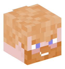 Minecraft head — People