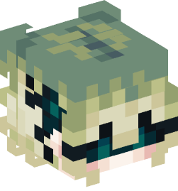 Minecraft head — People