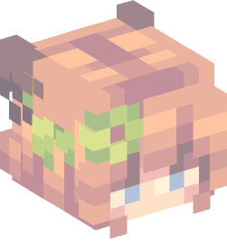 Minecraft head — People