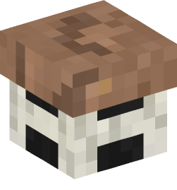 Minecraft head — Decor