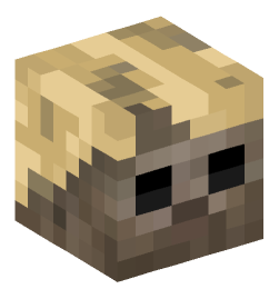 Minecraft head — Creatures